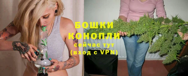 дурь Лабытнанги