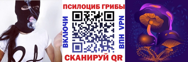 Псилоцибиновые грибы прущие грибы  купить закладку  Орлов 